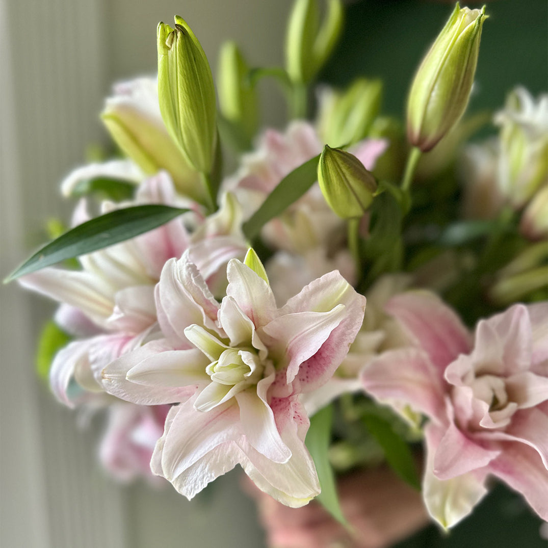 Rose Lily Love Debi Lilly